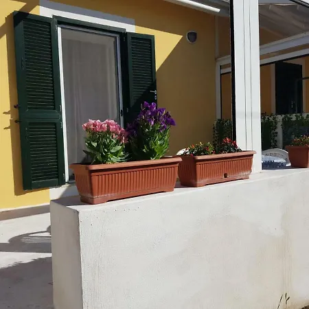 Visitponza - Milordina Apartment *